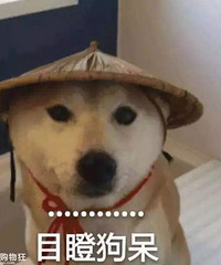 �����ջ�Ů��ǿ�鹷��