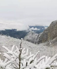 重庆好多地方都已经下雪了,周末你想去哪里耍雪?
