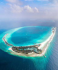 �˼��˰�������������βɳ̲�������������˵����û�ֲݣ�