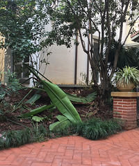 ǰ��԰һ��200ƽ���������ִ���ʽСԺ���깤