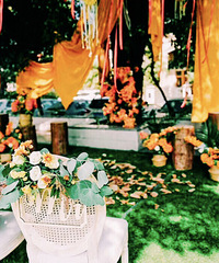 40000㶨˻ĴͣɫϵĻֳů