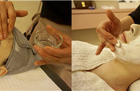 Сڸ߶˻ƷԭҺ֮գ˥ɫ