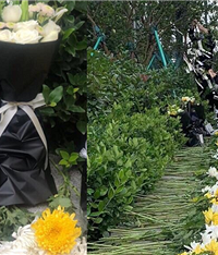 ������fensi�Է�ǰ��������׷˼��