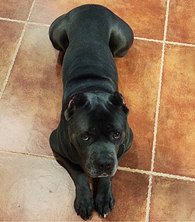 Ѱ����4λ���ļ�Ǯ������