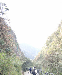 深秋遇见武功山【2019秋冬游记】