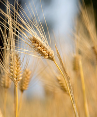 ȥ�������ܴ��⣬�������ܽӴ�С�ϻ�