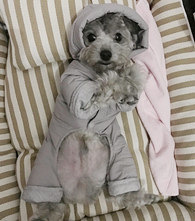 ˯������Ҫ����������