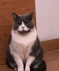 ������ô�Ѷ�ʧ�����һص�