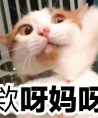 �йع�����ϵ�е��ڶ�δ��֮��