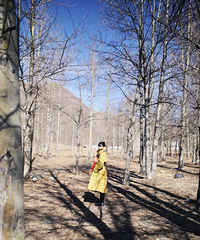 �Լݴ���ɫ�����������������è������������Ҳ�ж��ص���