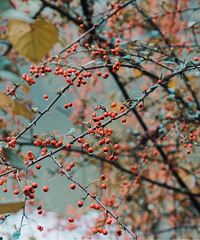 ÿ�����ڵ������£����в�һ���ĸо�