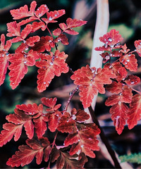 ÿ�����ڵ������£����в�һ���ĸо�