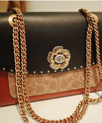 CoachϻƴɫParkerԽԽÿľ