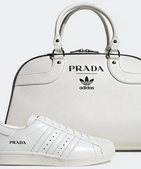 PradaAdidasÿ𣿻˺ܶͬ