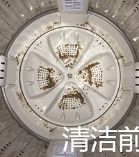便宜有好货!除霉、清洁、收纳,这10件家居小物大大提升幸福感
