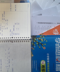 两只四脚吞金兽今年花了90000,感觉我仿佛跳了两个大坑