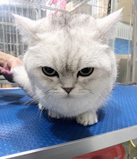 �������ˣ��岻�õ����֣�