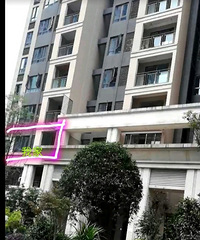 33ѧװ޹»㣬˵˵ѡƵĵ