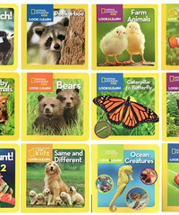 ұСȻˣҵⱾʵ飬ǧ