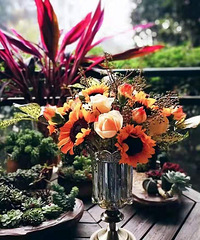 ѧͶʣûеӵĿѵѧϰ