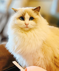 ʡ�Լ������ڰ������ؼ�