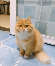 è����һ����������ô�죿