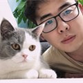 做设计的铲屎官来相亲