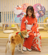 �Ͳ��ĺ��տ���ȥ�ú���