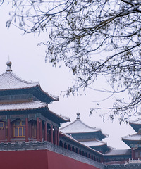 СڵذǸܶչ¶ջʹѩ