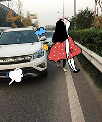 ��������������ײ��......