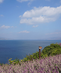 һɺ½򿨵أڶгƬ޹²