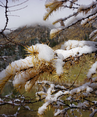 ȥ﹵򿨸ޱӾأĳձĸо