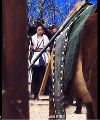 ����·͸������ӱ��������ʦ����