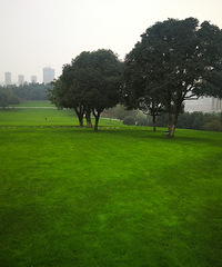 ���������빫԰����ƺ���̺һ������ɫ����