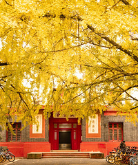 ������������Ƭ����