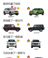 Ϊʲô�й�������������������������޵Ķ���Ʒ�ƣ�