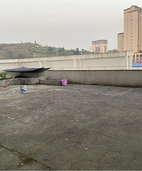 [����]������������������������Сѧָ��