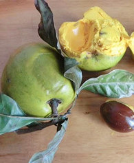 ���ڼ����ֳ��˼�������