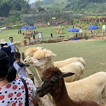 适合亲子出游的公园