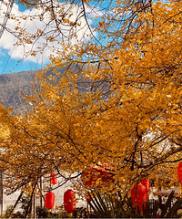 ˵�߾���ȥ�ڳ��˳�����Ӵ�����