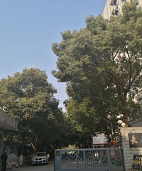 ΪⱭȥɳԳԺȺȣϰĹԺʵ