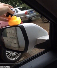 �����ں��Ӿ��Ϸ��˸�С��Ѽ����һ��ͻȻ���ֱ�����ˣ�