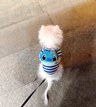 һ�ų�������������ô��