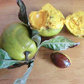 ���ڼ������˼�����