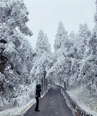 ȥˣŮɽԱͼȻһѩһ