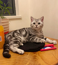 ��3200��������ֵ��