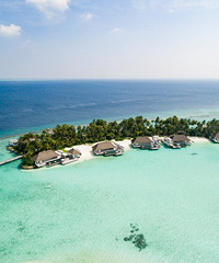 ׯ԰ά˽˵޼ᱻLTIΪʮݻƵ