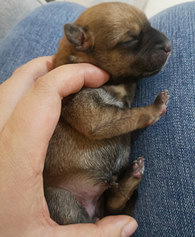 ���������ּ񵽹���......