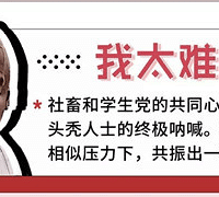 2019���������ǿ������侹�ǡ�