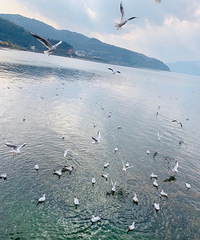 ˵߾Լݸɺ980סϣٿ޵